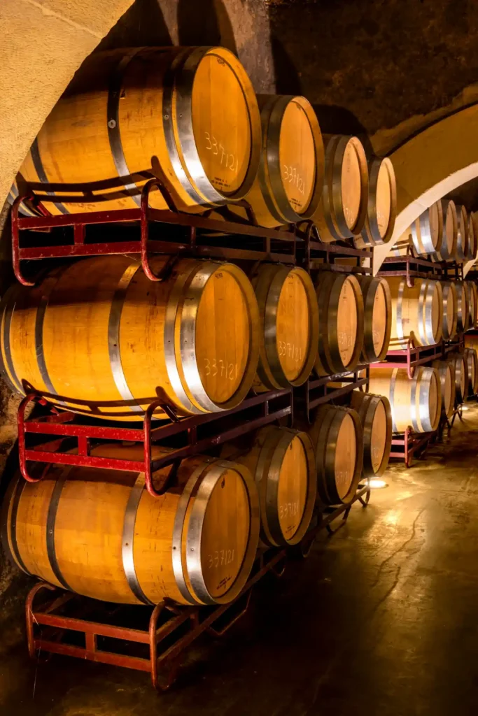 Bodega de vino