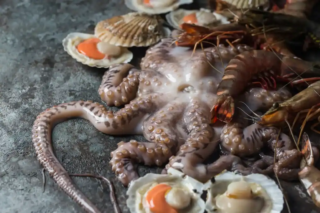 Importación de marisco a España
